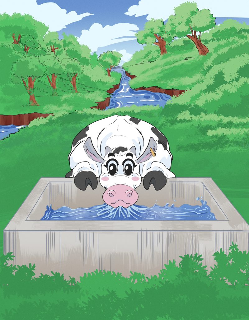 Page from A Vaca Murcha: the cow drinks from a full stone water trough in a green field with a stream behind